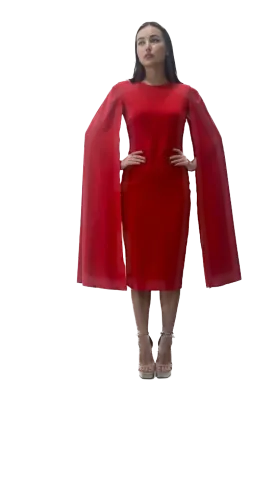 Cape Sleeve Dress