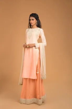 Crochet Lehenga Set - Dawn