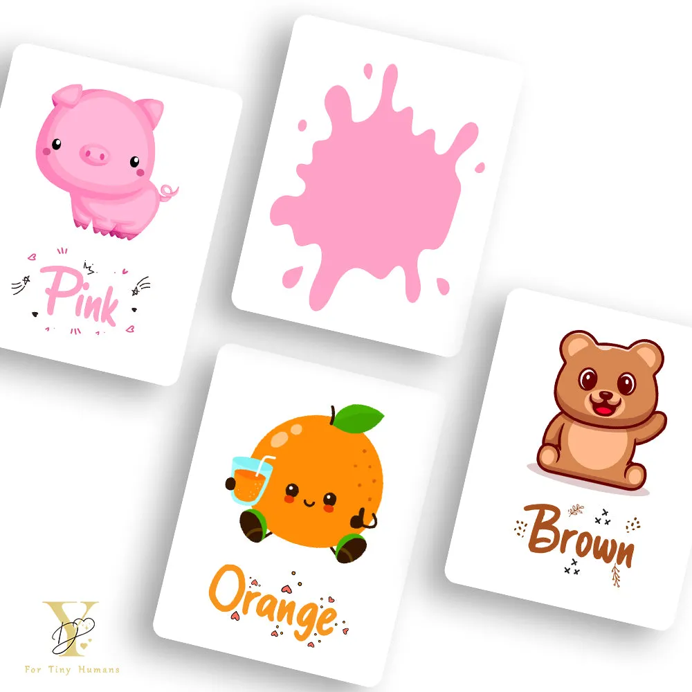 Doodle's Flash Cards Collection - Colours & Shapes