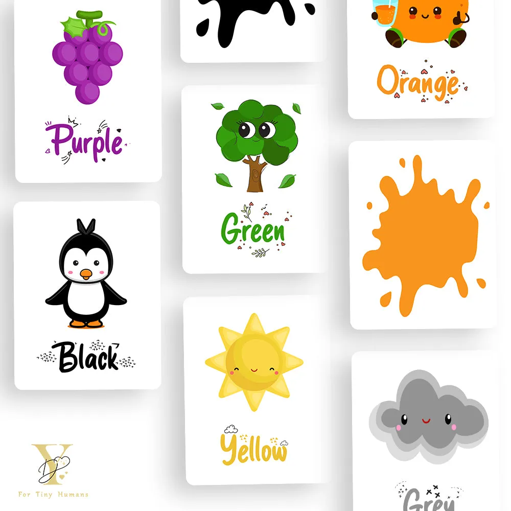 Doodle's Flash Cards Collection - Colours & Shapes