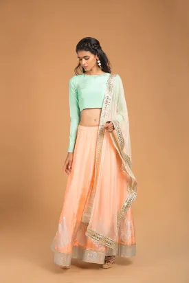 Gota Lehenga Set - Crystal